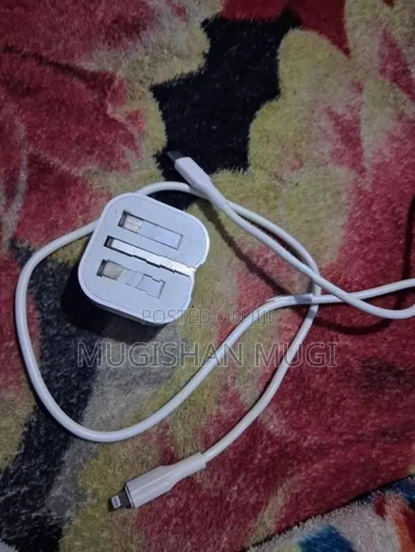 Apple iPhone Charger