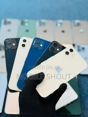 Apple iPhone 12 128GB (Used)