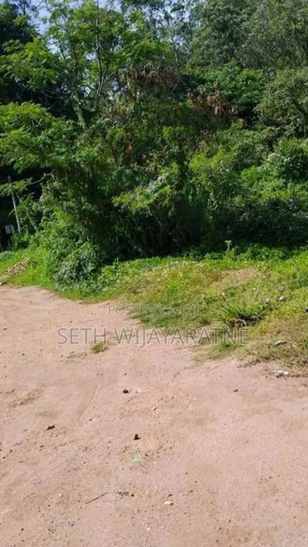 බණ්ඩාරවෙල නගරයට කි.මී. 3.6ක් දුරින් වටිනා ඉඩමක් කුලියට