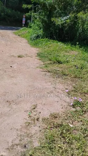 බණ්ඩාරවෙල නගරයට කි.මී. 3.6ක් දුරින් වටිනා ඉඩමක් කුලියට