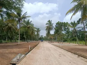Land for Sale Narammala