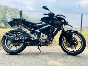 Bajaj Pulsar NS200 ns 200 2013