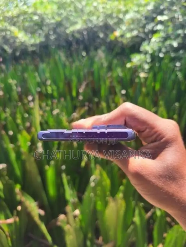 Vivo V40 (Used)