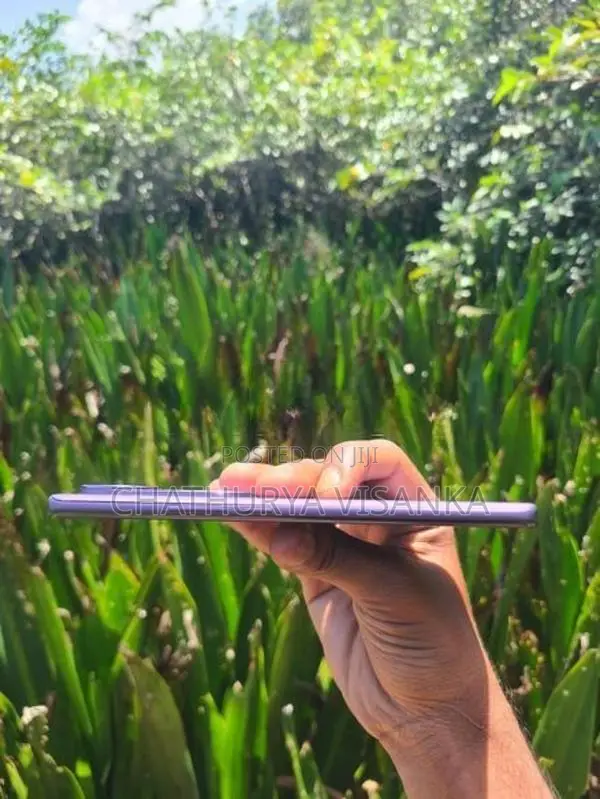 Vivo V40 (Used)