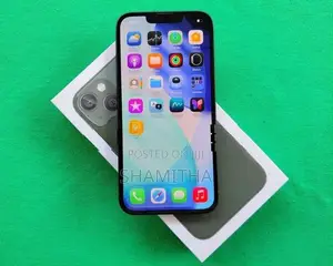 Apple iPhone 13 128gb (Used)