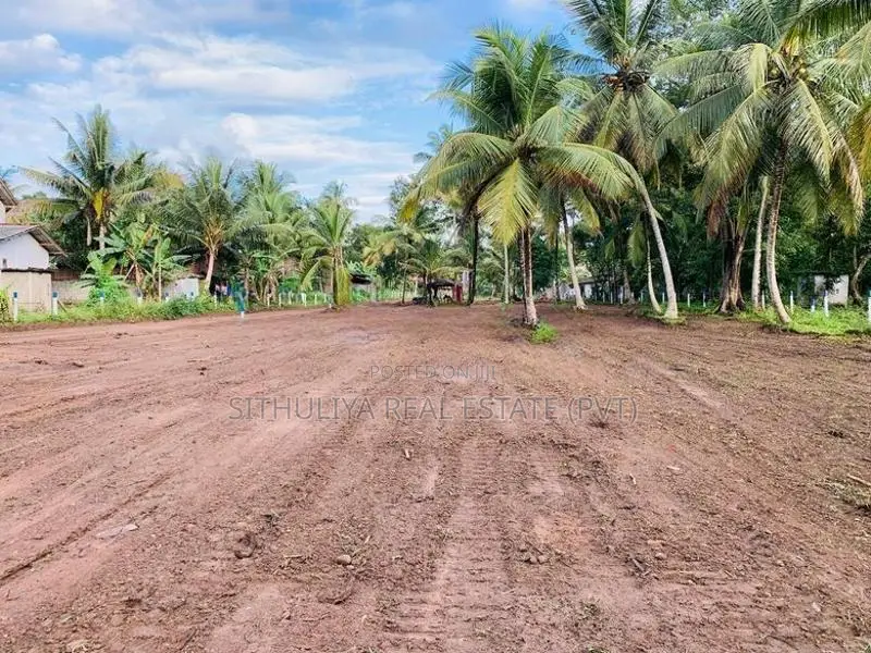 නේවාසික බිම් කොටස් පොතුහැර නගරයට ලගින්