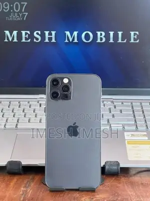 Apple iPhone 12 Pro 256GB (Used)