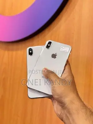 Apple iPhone X 256GB (Used)