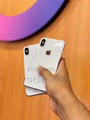 Apple iPhone X 256GB (Used)