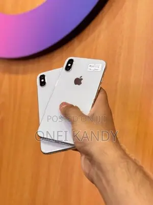Apple iPhone X 256GB (Used)