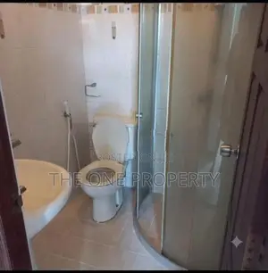 2 Bedroom Apartment for Rent - Colombo 5