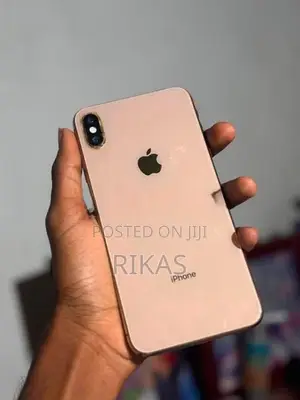 Apple iPhone XS Max (Used)