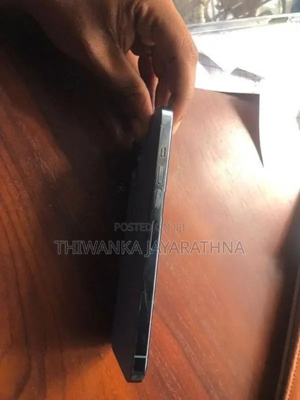 Apple iPhone 13 Pro Max (Used)