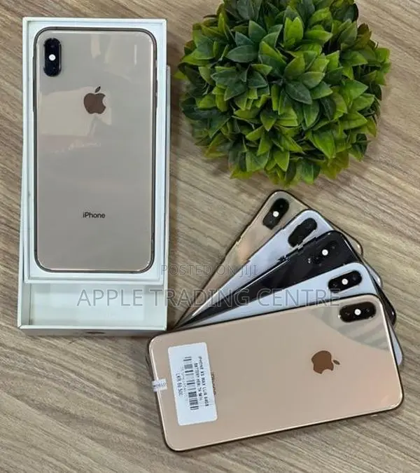 Apple iPhone XS Max 64GB (Used)