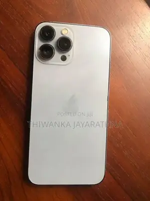 Apple iPhone 13 Pro Max (Used)