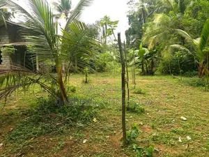 Land For Sale in Horana