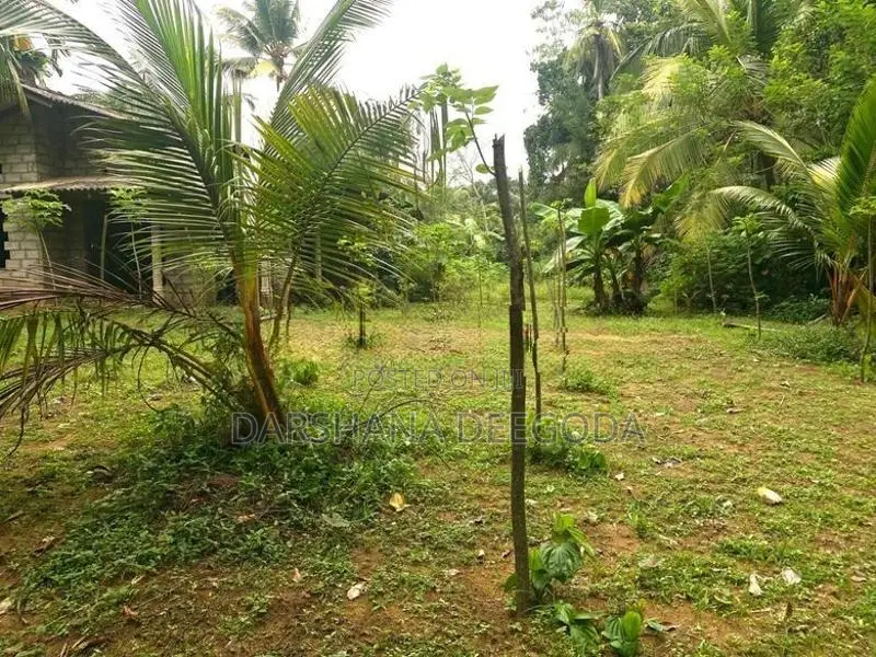 Land For Sale in Horana