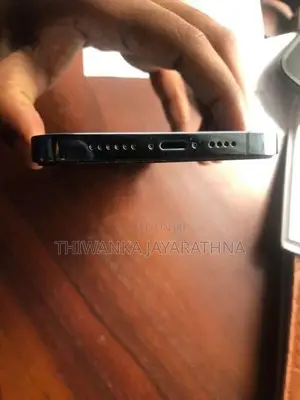 Apple iPhone 13 Pro Max (Used)