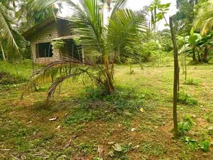 Land For Sale in Horana
