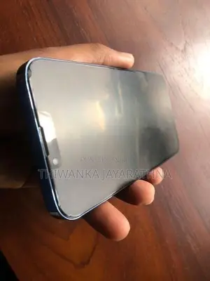 Apple iPhone 13 Pro Max (Used)