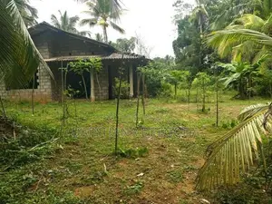 Land For Sale in Horana