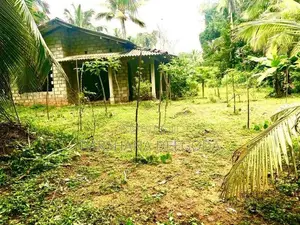 Land For Sale in Horana