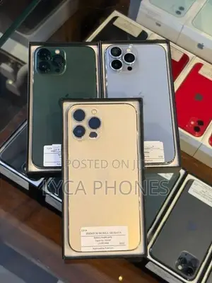 Apple iPhone 13 Pro Max 256GB (Used)