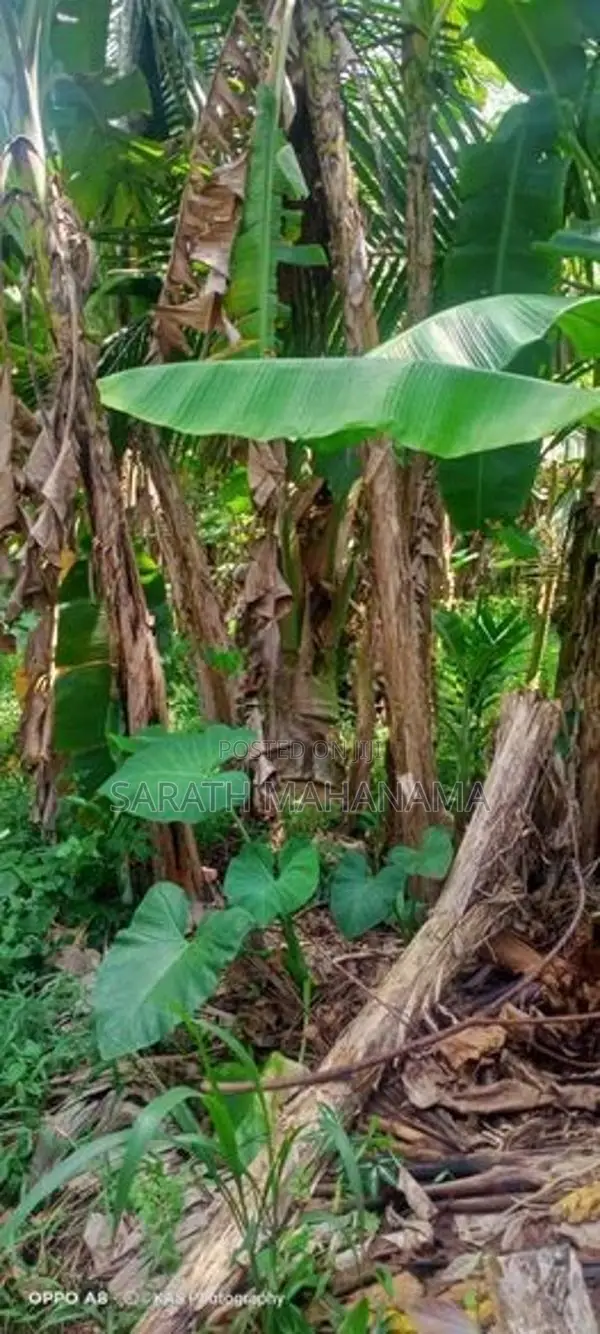 Land for Sale in kahathuduwa
