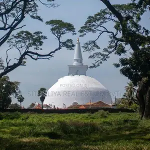 Land in Anuradhapura