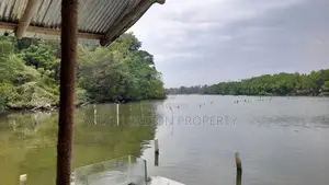Prime Riverfront Land for Sale in Hikkaduwa