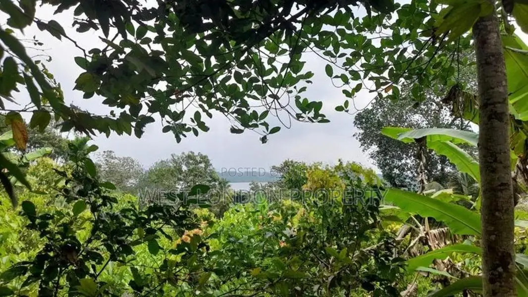 Prime Riverfront Land for Sale in Hikkaduwa