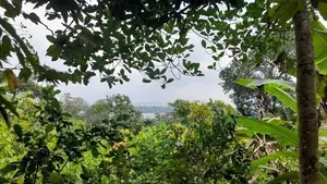 Prime Riverfront Land for Sale in Hikkaduwa