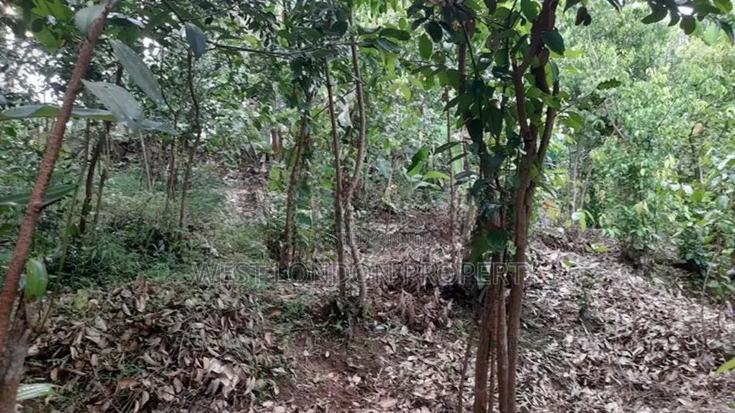 Prime Riverfront Land for Sale in Hikkaduwa