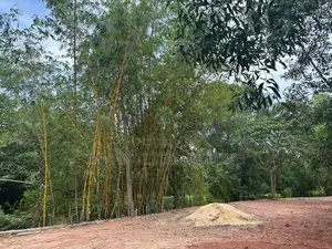 Land for Sale in Katunayake