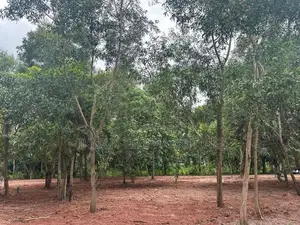Land for Sale in Katunayake