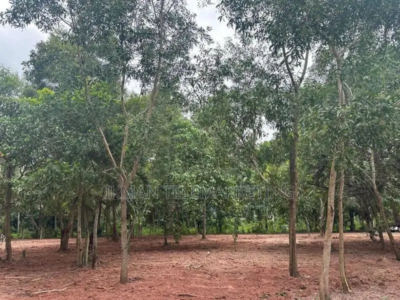 Land for Sale in Katunayake