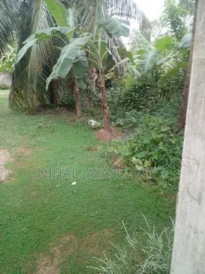 Land for Sale Dankotuwa
