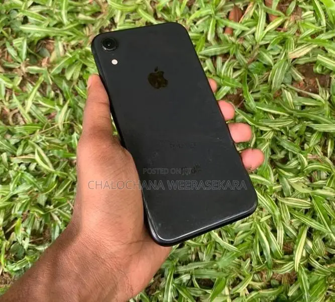 Apple iPhone XR (Used)