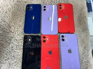 Apple iPhone 12 (Used)