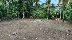 17P Land for Sale in Pannipitiya