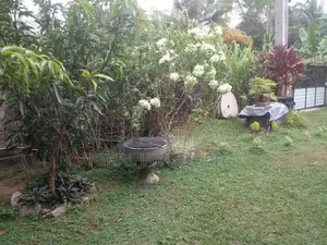 Land for Sale Dankotuwa