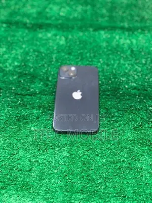 Apple iPhone 13 (Used)