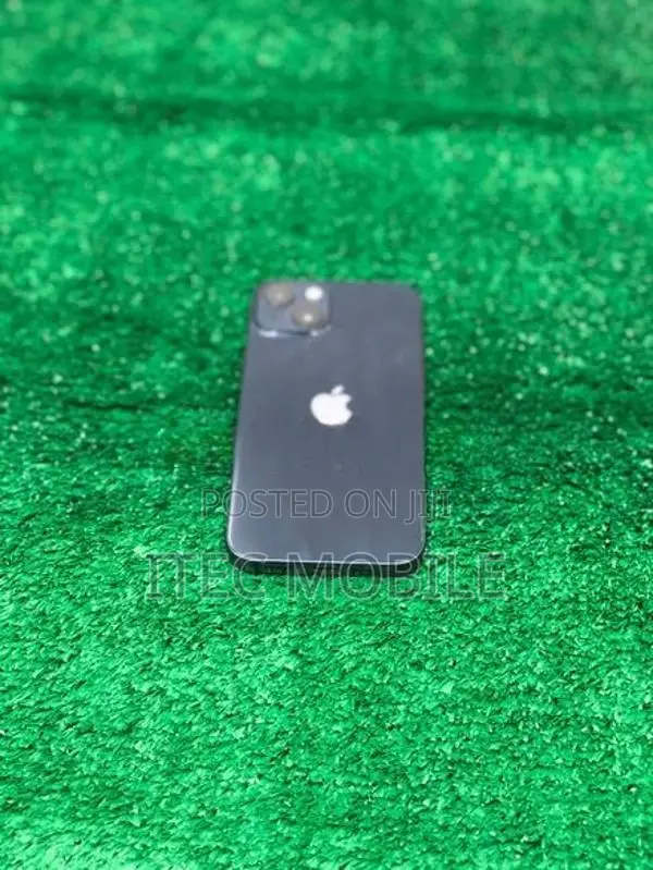 Apple iPhone 13 (Used)