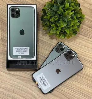 Apple iPhone 11 Pro Max 256GB (Used)