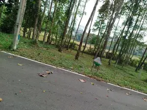 හෝමාගම නගරයට නුදුරින් බිම් කොටස් විකිණීමට