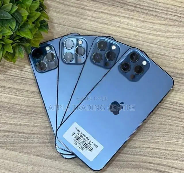 Apple iPhone 12 Pro Max 256GB (Used)
