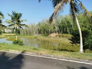 හෝමාගම නගරයට නුදුරින් බිම් කොටස් විකිණීමට