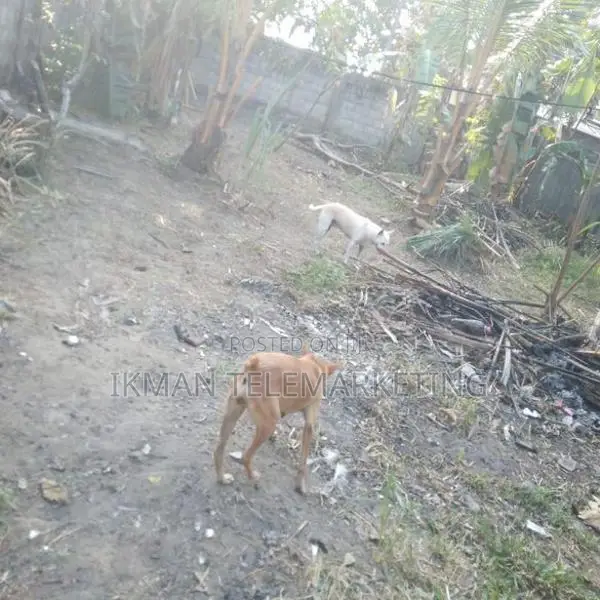 Land for Sale in Welmilla, Bandaragama