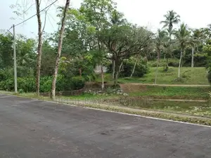 හෝමාගම නගරයට නුදුරින් බිම් කොටස් විකිණීමට