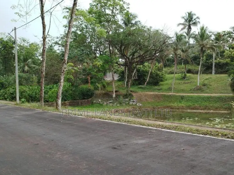හෝමාගම නගරයට නුදුරින් බිම් කොටස් විකිණීමට